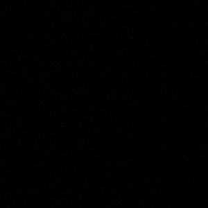 Meet your Posher, Bridget